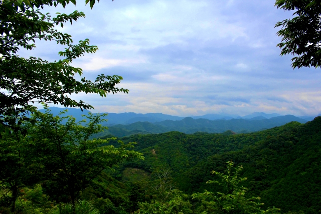 資源_山_森林